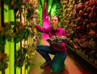Certificate IV in Horticulture (AHC40422)