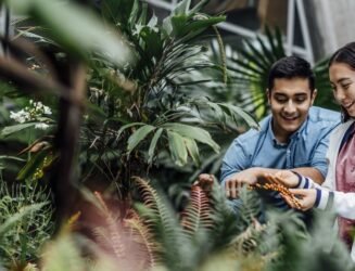 Certificate III in Horticulture (AHC30722)